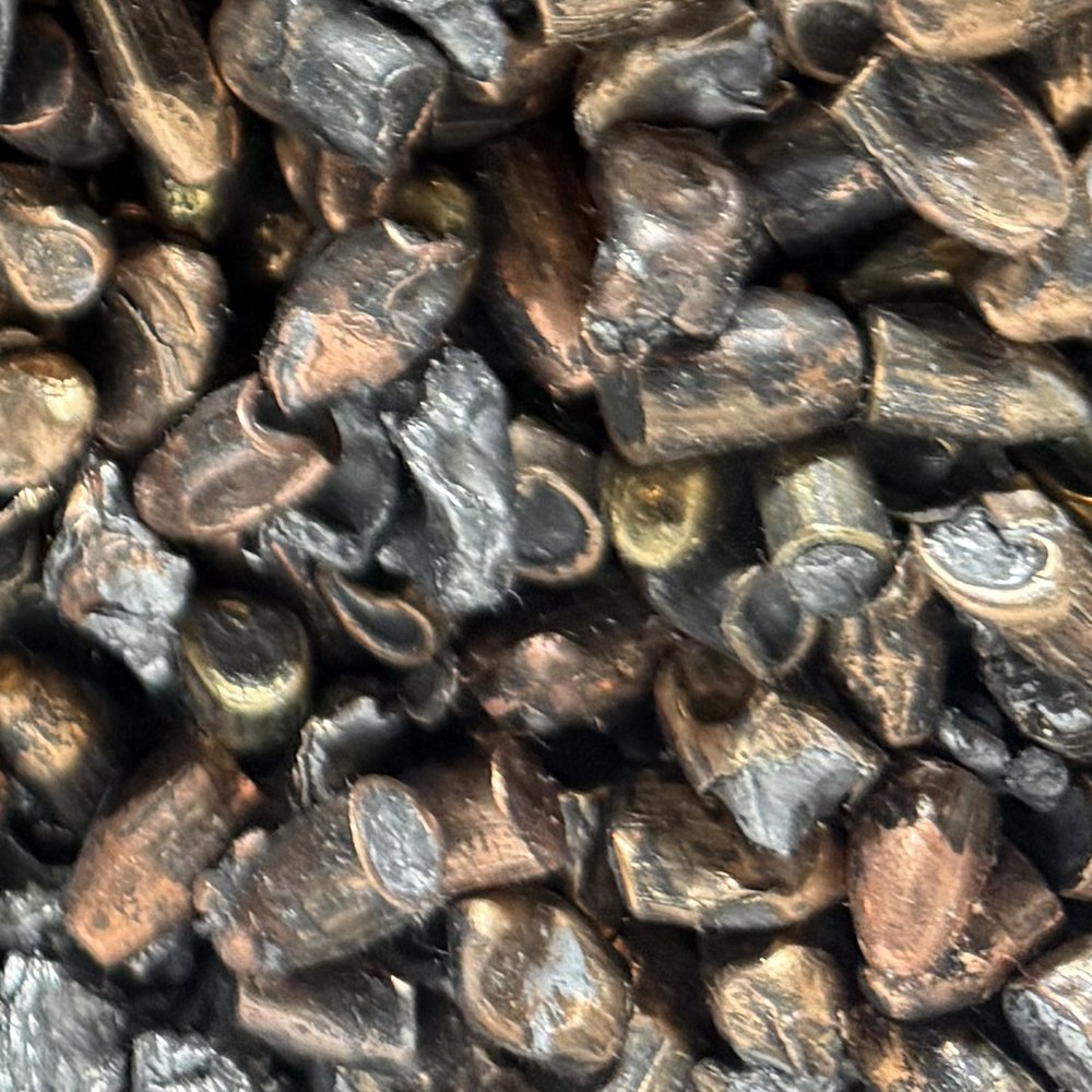 Whole copper-jacketed projectiles recovered from a berm